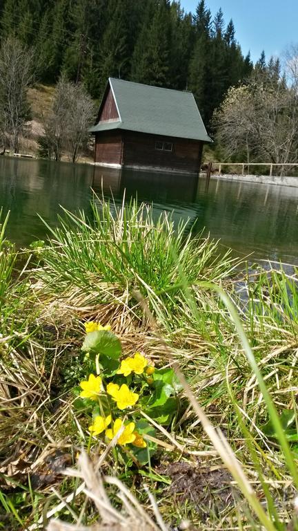 Chata Pod Certovicou Vyšná Boca Zewnętrze zdjęcie